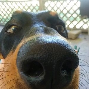 Meet your Posher, Jamie